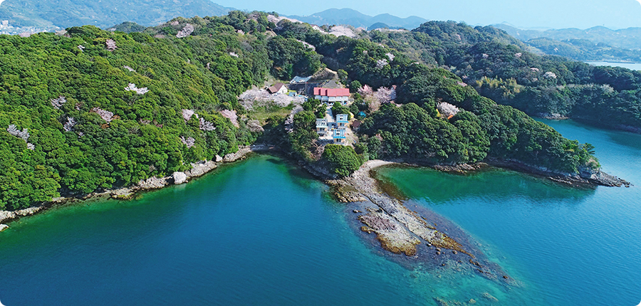 崎野自然公園でバーベキューをして宿泊