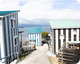 「自然たっぷり」崎野自然公園